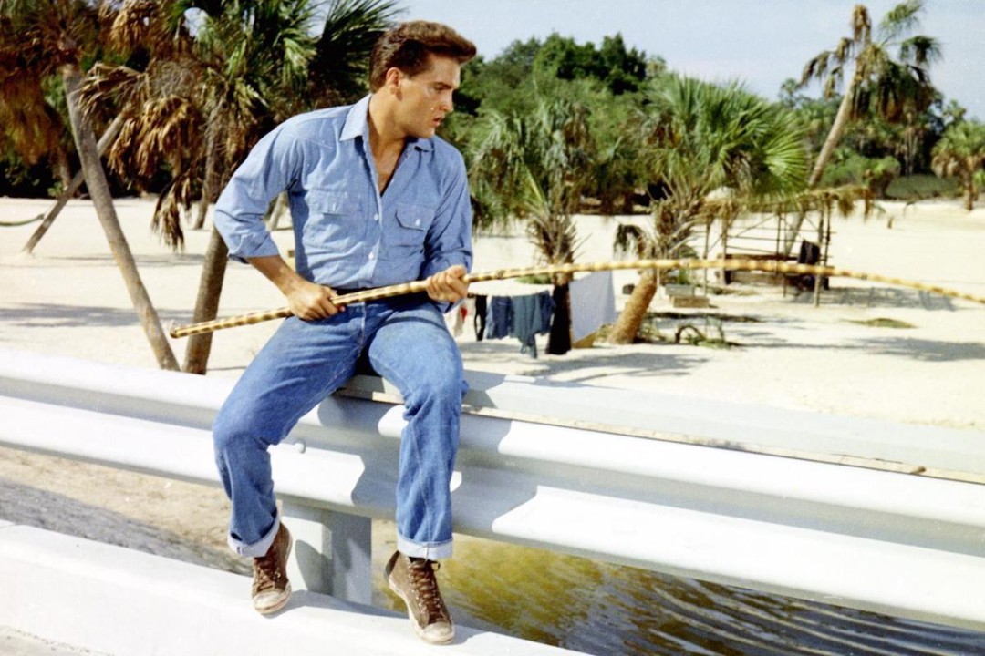 Elvis, a musical leader & changemaker in double denim