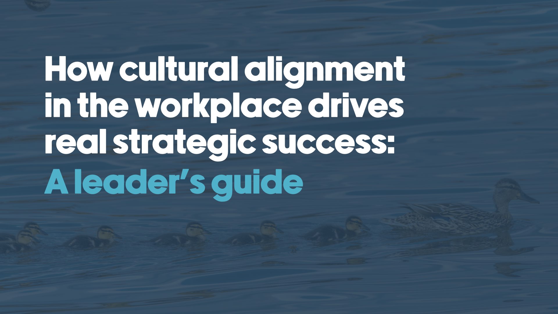 Mother duck leading a line of ducklings across the water, symbolising cultural alignment and teamwork in the workplace.