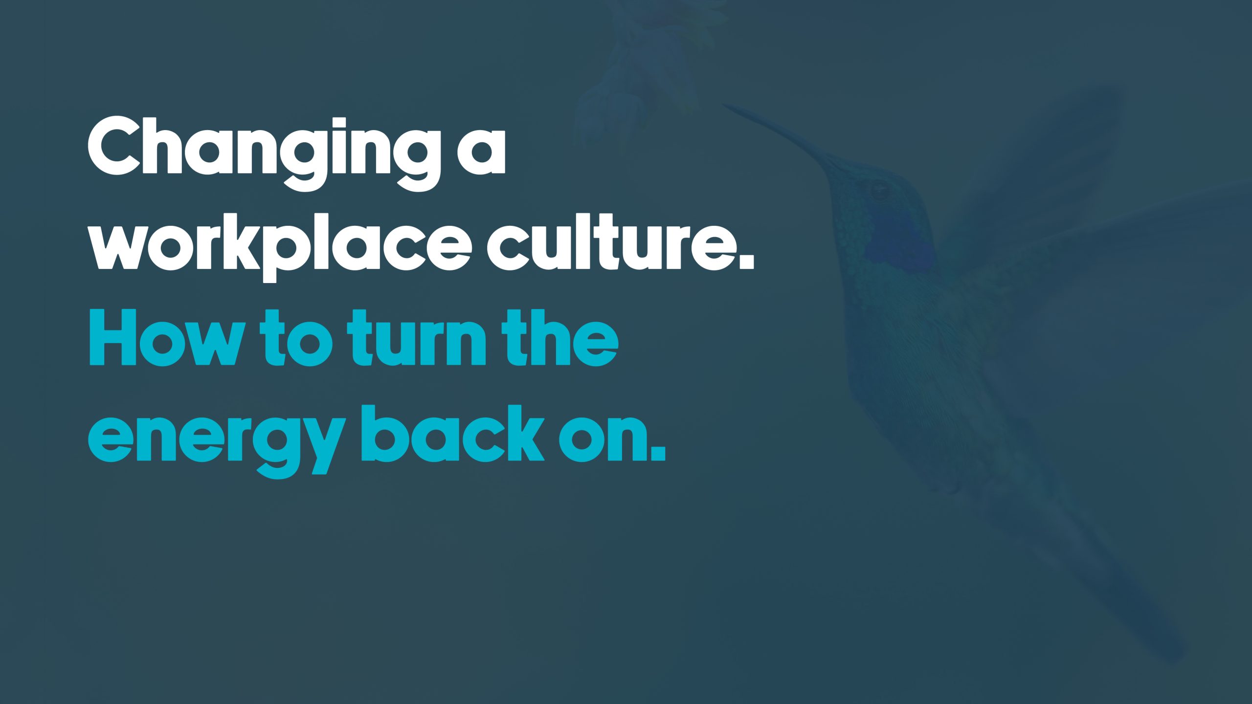 Changing a workplace culture